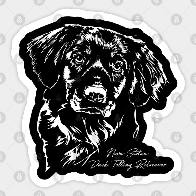 Nova scotia duck tolling retriever gifts on sale